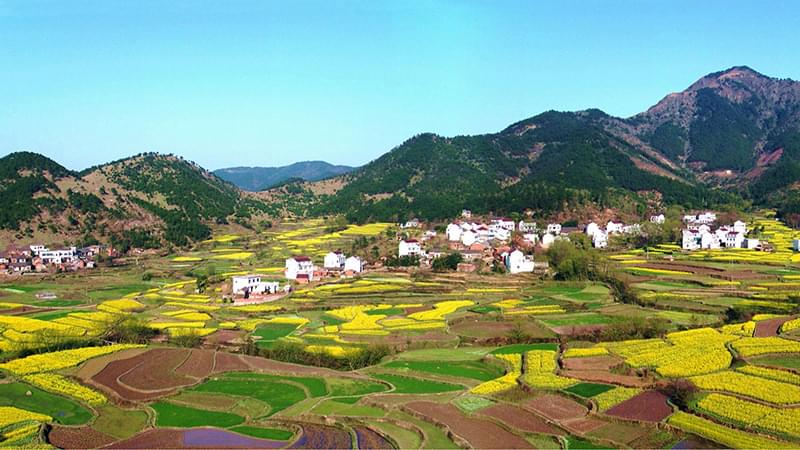 安防監(jiān)控公司創(chuàng)通寶論建設平安鄉(xiāng)村目前的現狀有哪些